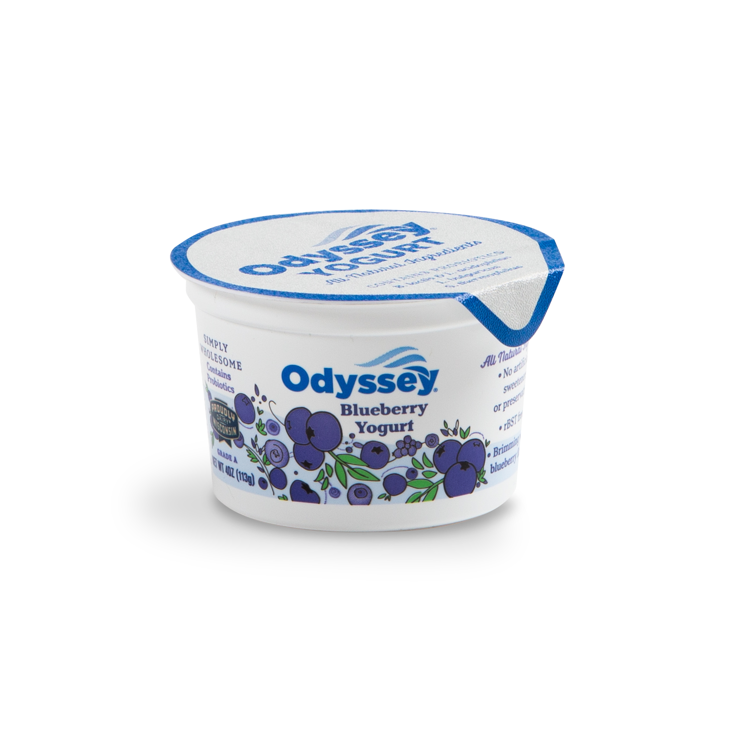 Odyssey Brands Products Blueberry greek yogurt 4oz no Fruit