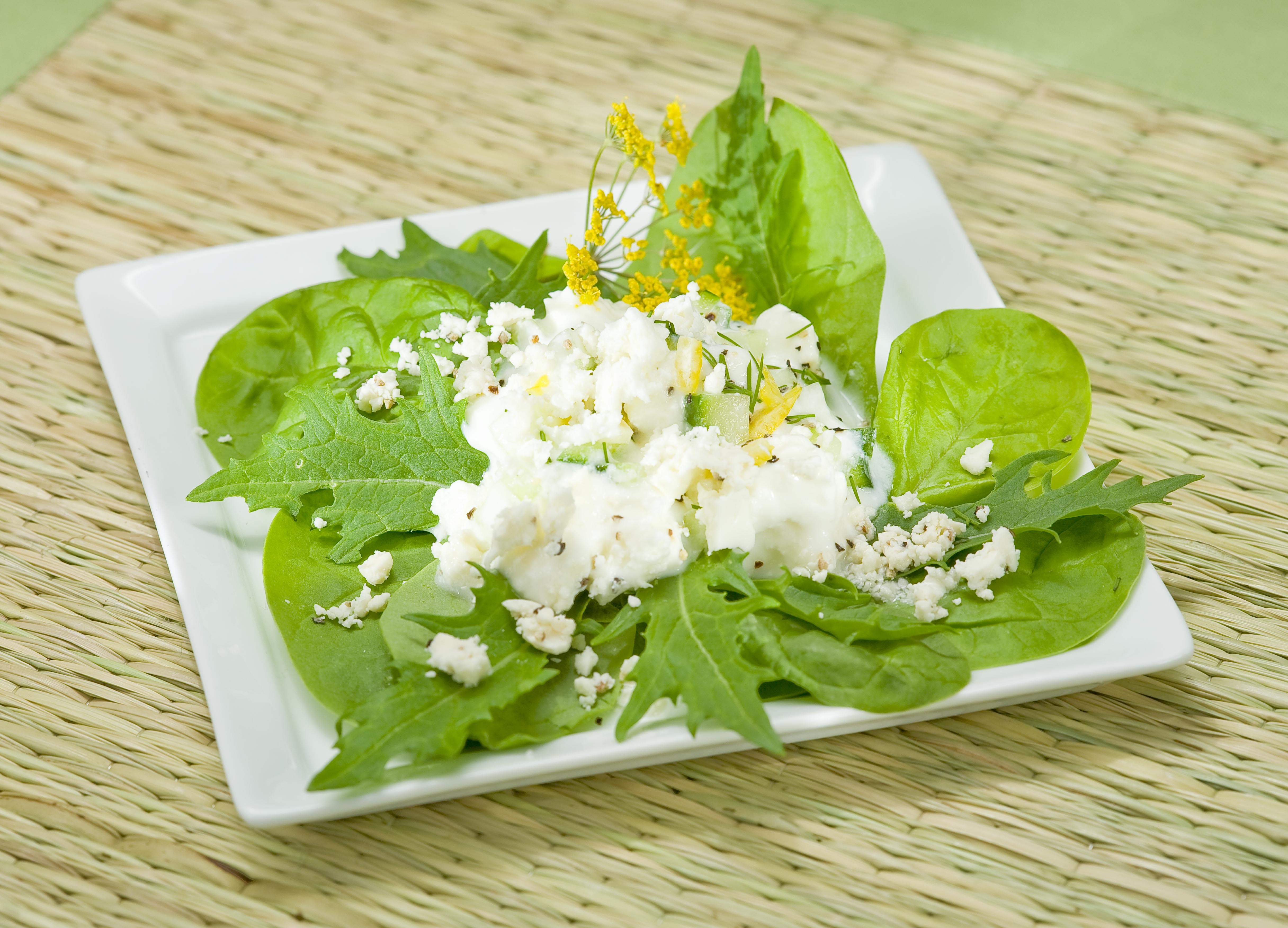 Odyssey Brands Feta and Greek Yogurt Cucumber Salad