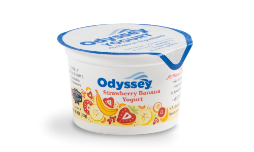 Odyssey Brands Strawberry Banana Yogurt